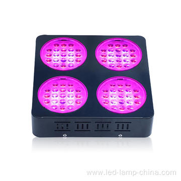 High PAR Value Grow Light